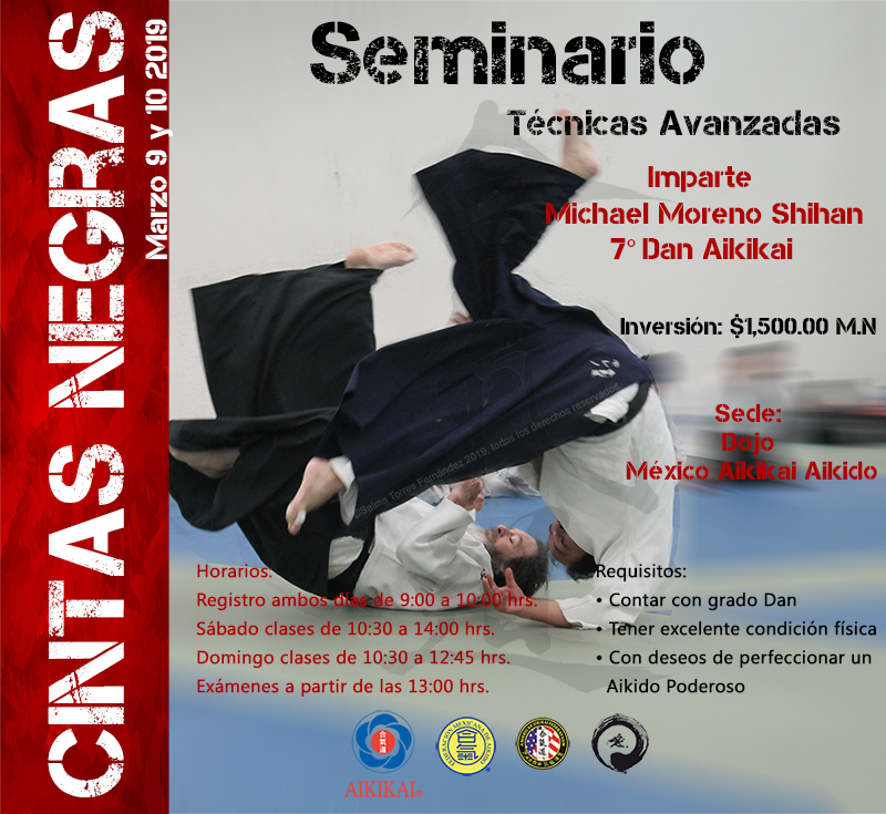 aikido cintas negras