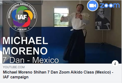 michael moreno shihan zoom